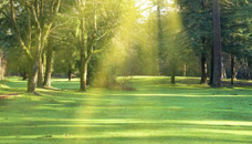 Gracelawn Memorial Park